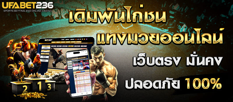 ไก่ชนแทงมวยสไลด์